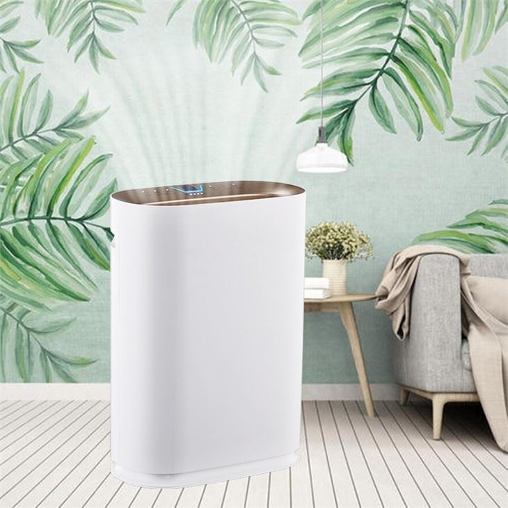 BKJ-300 Economic Standing Home Air Purifier