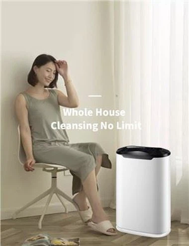 Purifier Aeir Caighdeánach Idirnáisiúnta Baile