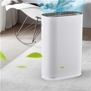 Seomra Fresh Air Purifier OEM Dearadh